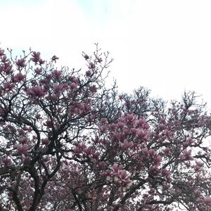 Meet your Posher, Mary grace